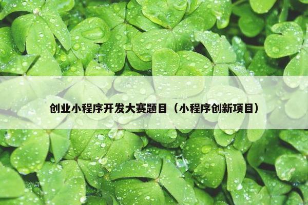 创业小程序开发大赛题目（小程序创新项目）