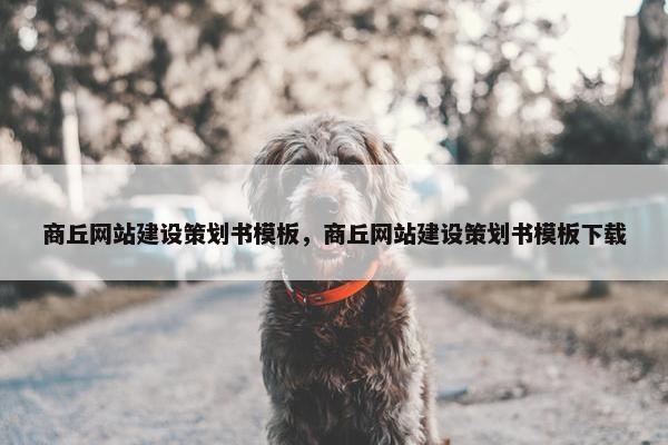 商丘网站建设策划书模板，商丘网站建设策划书模板下载