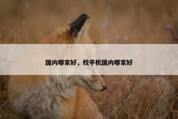国内哪家好，校平机国内哪家好