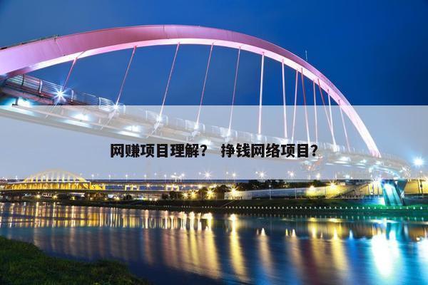 网赚项目理解？ 挣钱网络项目？