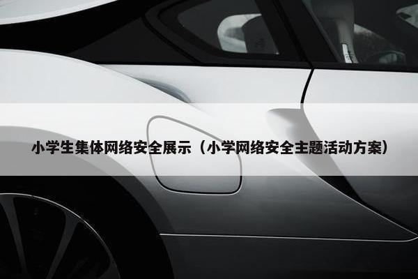 小学生集体网络安全展示（小学网络安全主题活动方案）