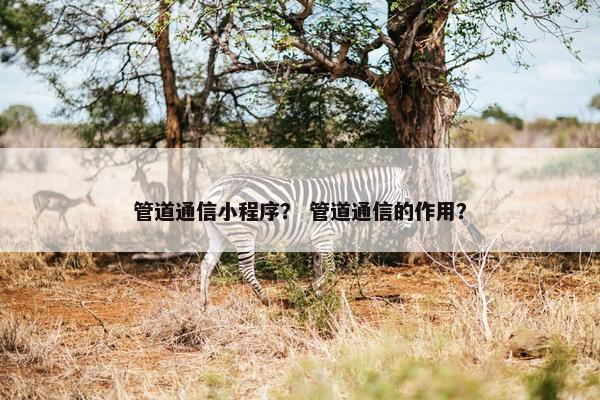 管道通信小程序？ 管道通信的作用？