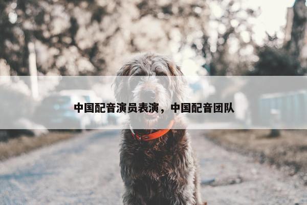 中国配音演员表演，中国配音团队
