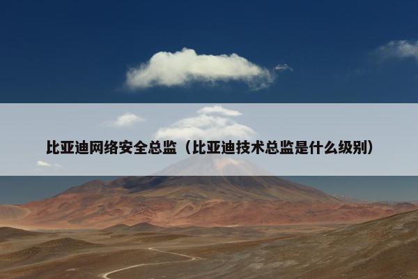 比亚迪网络安全总监（比亚迪技术总监是什么级别）