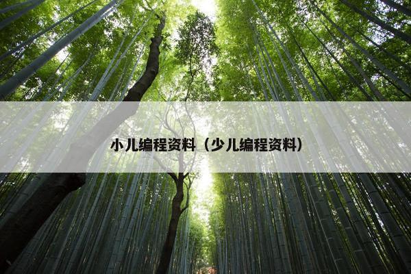 小儿编程资料（少儿编程资料）
