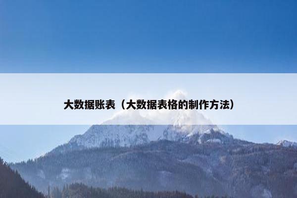 大数据账表（大数据表格的制作方法）