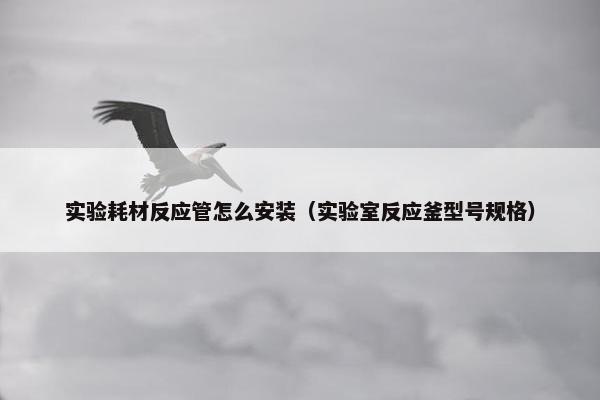实验耗材反应管怎么安装（实验室反应釜型号规格）