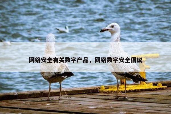 网络安全有关数字产品，网络数字安全倡议