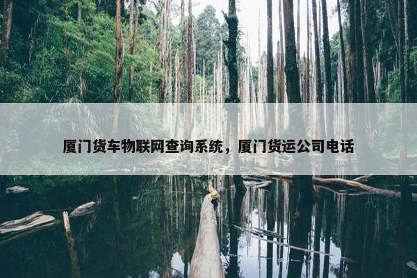 厦门货车物联网查询系统，厦门货运公司电话