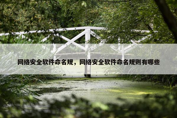 网络安全软件命名规，网络安全软件命名规则有哪些