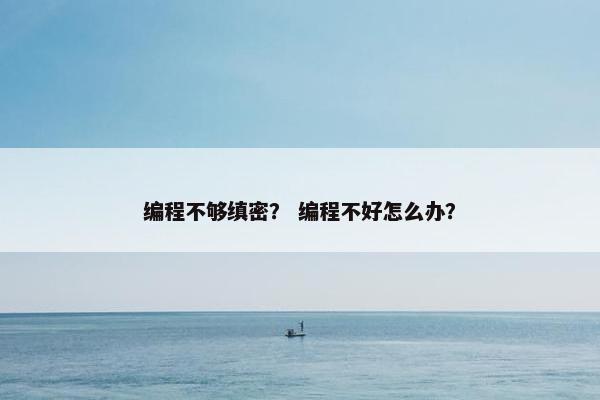 编程不够缜密？ 编程不好怎么办？