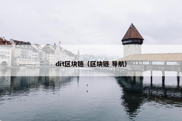 dit区块链（区块链 导航）