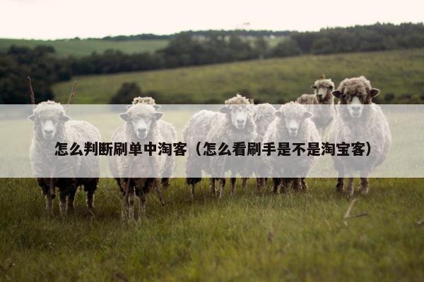 怎么判断刷单中淘客（怎么看刷手是不是淘宝客）