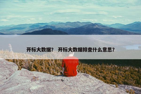 开标大数据？ 开标大数据排查什么意思？