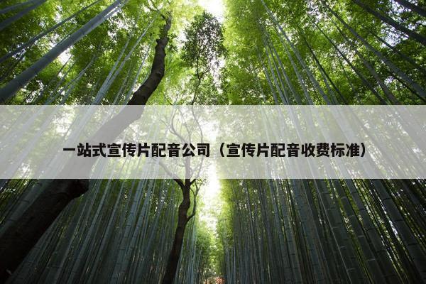 一站式宣传片配音公司（宣传片配音收费标准）