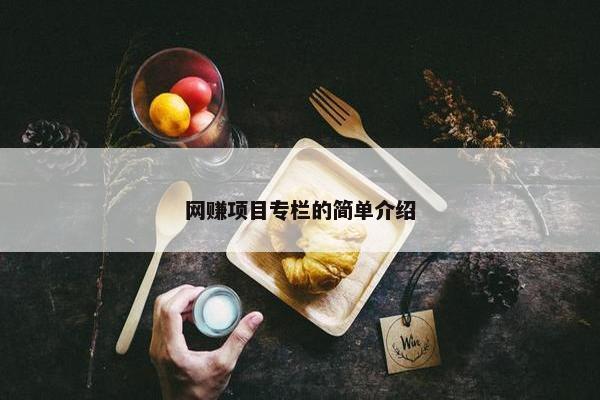 网赚项目专栏的简单介绍