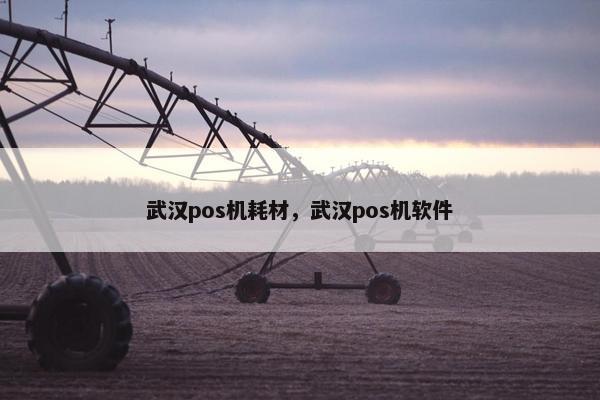 武汉pos机耗材，武汉pos机软件