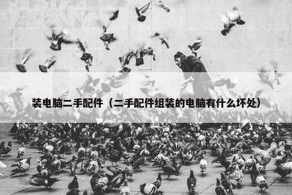装电脑二手配件（二手配件组装的电脑有什么坏处）