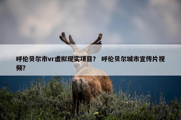 呼伦贝尔市vr虚拟现实项目？ 呼伦贝尔城市宣传片视频？