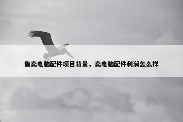 售卖电脑配件项目背景，卖电脑配件利润怎么样