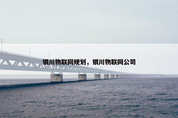 银川物联网规划，银川物联网公司