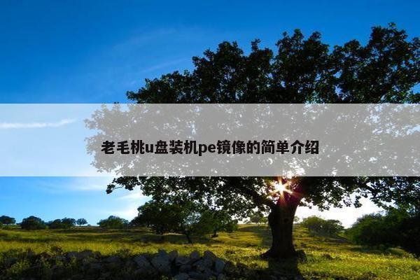 老毛桃u盘装机pe镜像的简单介绍