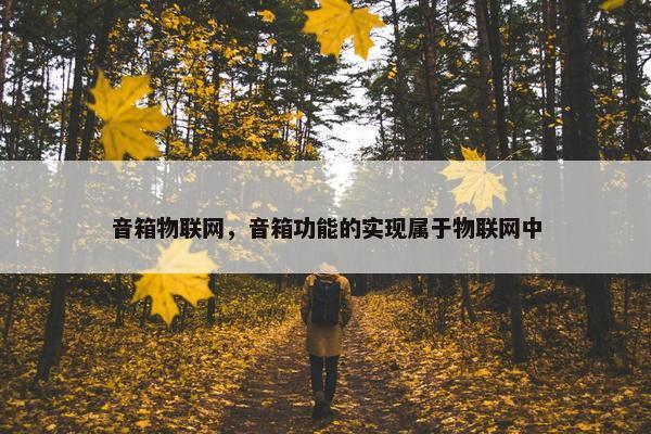 音箱物联网，音箱功能的实现属于物联网中
