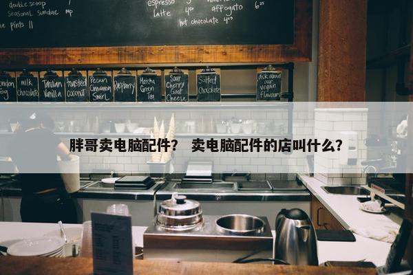 胖哥卖电脑配件？ 卖电脑配件的店叫什么？