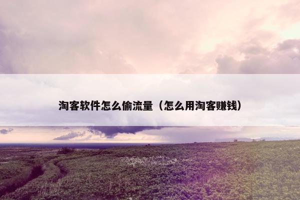 淘客软件怎么偷流量（怎么用淘客赚钱）