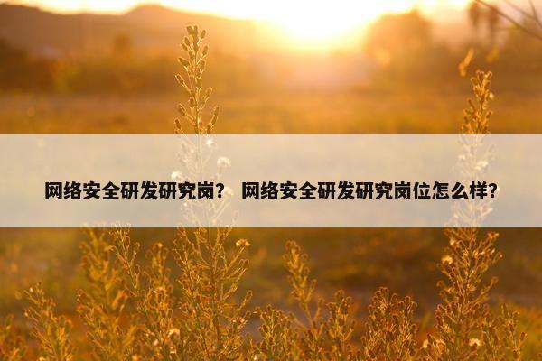 网络安全研发研究岗？ 网络安全研发研究岗位怎么样？