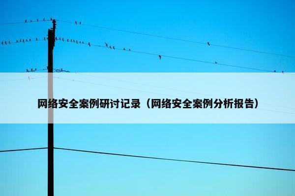网络安全案例研讨记录（网络安全案例分析报告）