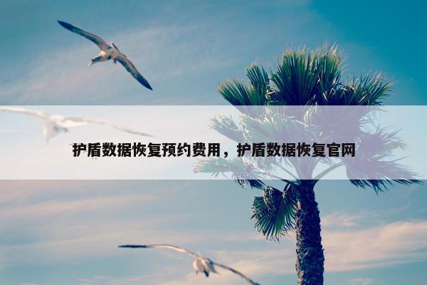 护盾数据恢复预约费用，护盾数据恢复官网