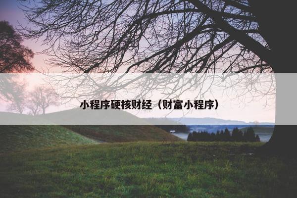 小程序硬核财经（财富小程序）