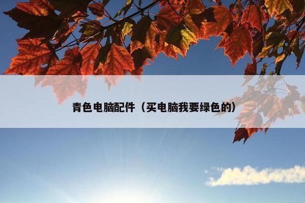 青色电脑配件（买电脑我要绿色的）