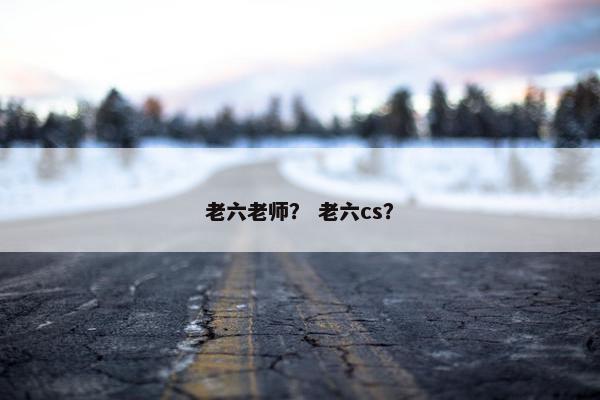 老六老师？ 老六cs？