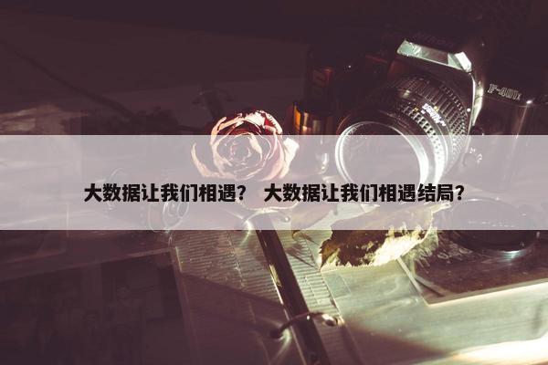 大数据让我们相遇？ 大数据让我们相遇结局？