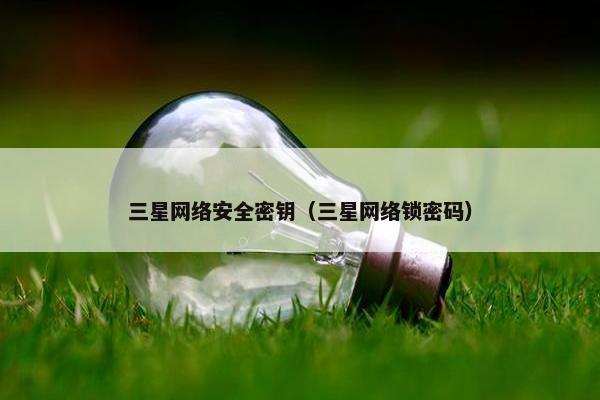 三星网络安全密钥（三星网络锁密码）
