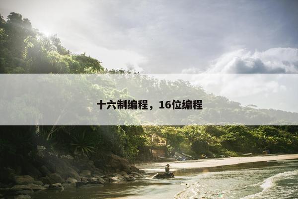 十六制编程，16位编程