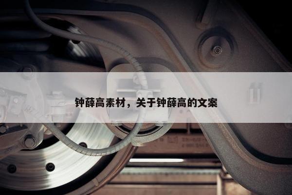 钟薛高素材，关于钟薛高的文案