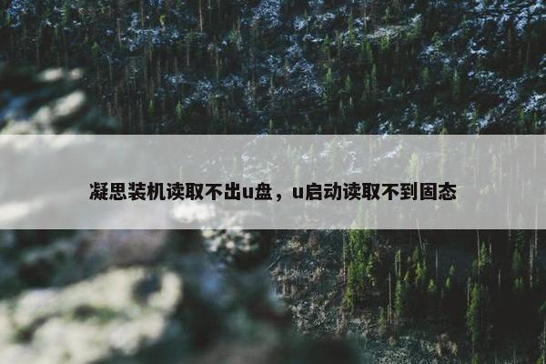 凝思装机读取不出u盘，u启动读取不到固态