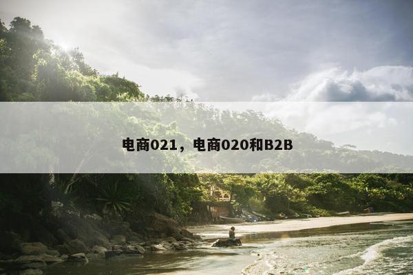 电商021，电商020和B2B