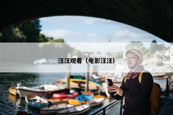汪汪观看（电影汪汪）