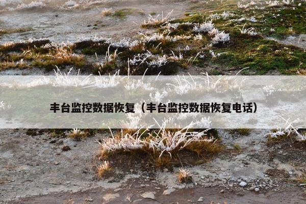 丰台监控数据恢复（丰台监控数据恢复电话）