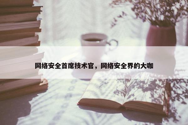 网络安全首席技术官，网络安全界的大咖