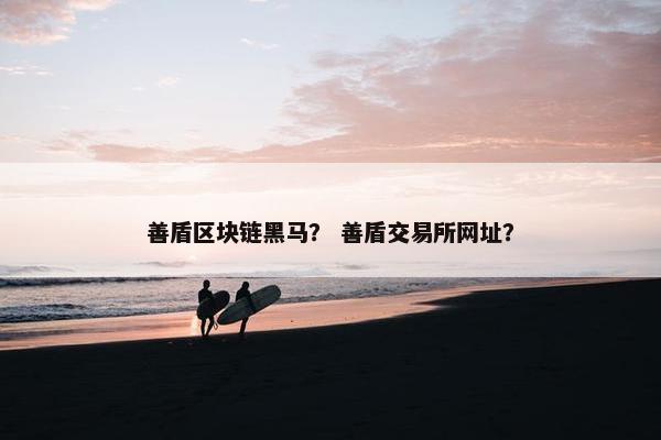 善盾区块链黑马？ 善盾交易所网址？