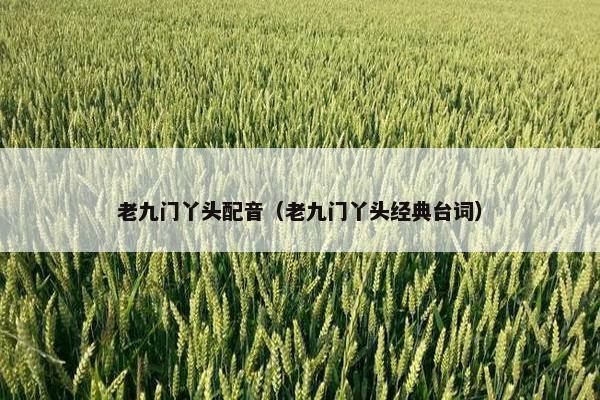 老九门丫头配音（老九门丫头经典台词）