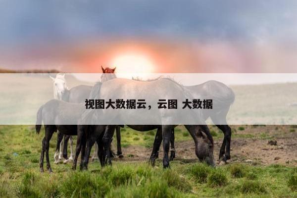 视图大数据云，云图 大数据