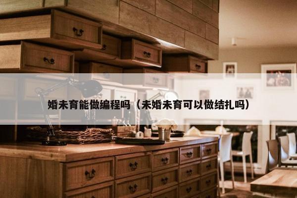 婚未育能做编程吗（未婚未育可以做结扎吗）