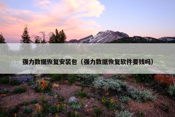 强力数据恢复安装包（强力数据恢复软件要钱吗）