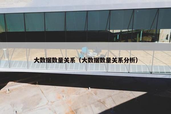 大数据数量关系（大数据数量关系分析）